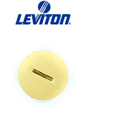 Leviton 25249-CAP Replacement Cap for Floor Box Duplex Receptacle 1.46 Inch - (Best Screws For Squeaky Floors)
