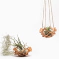 thumbnail image 5 of Cesta Colgante para Macetas, Cesta para Exteriores, Estante para Plantas de Exterior, Estante de Pared de Sintético, Estante para Macetas, Cesta para Plantas B, 5 of 5