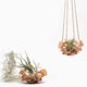 thumbnail image 5 of Cesta Colgante para Macetas, Cesta para Exteriores, Estante para Plantas de Exterior, Estante de Pared de Sintético, Estante para Macetas, Cesta para Plantas C, 5 of 5