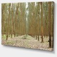 thumbnail image 2 of Rubber Trees Row in Thailand - Modern Forest Canvas Art, 2 of 4