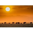 thumbnail image 2 of C. Sink, Jeffrey 14x11 White Modern Wood Framed Museum Art Print Titled - Sunrise Over Amboseli, 2 of 4