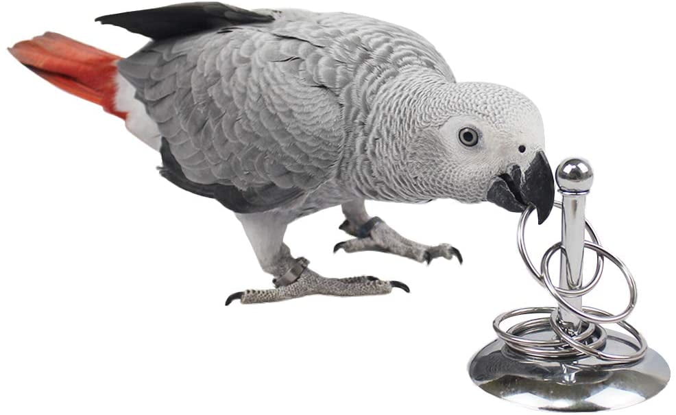 Bird Stacking Rings Toys，Parrots Trick Tabletop Toys, Stainless Steel