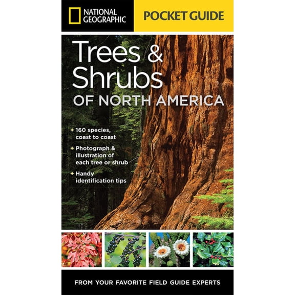 National Geographic Pocket Guide to Trees and Shrubs of North America (Paperback)