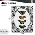 thumbnail image 4 of Stupell Industries Traditional Floral Border Butterfly Lineup Canvas Art, 30 x 40, by Dan Meneely, 4 of 8