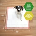 thumbnail image 3 of Almohadillas de Adiestramiento para Perros MED PRIDE CON Atrayente Paquete de 50, 3 of 5