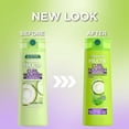 thumbnail image 2 of Champú Garnier Fructis Curl Nourish Hidratante 370 ml, 2 of 5