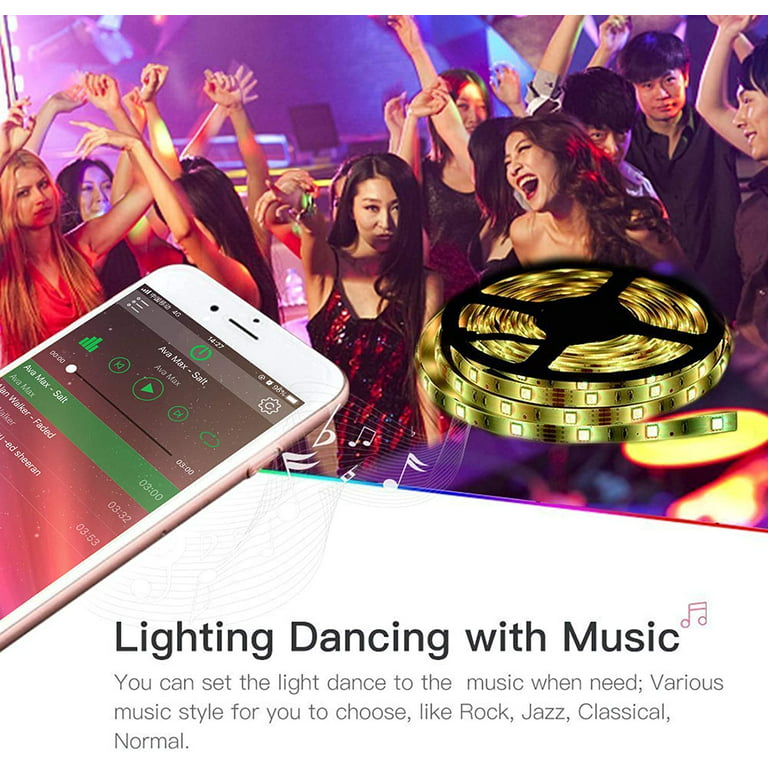 Brilliant Brand Lighting Outdoor Multi-function RGB LED Color Changing Strip Light Controller - Smd-5050