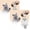 A845 Grey 3.9"x5.7" 2-Pack, variant on 2Pcs Deal Countdown! Pet Toy Squirrel Dog Toy Chew Interactive Sound Crinkle Squeaky Flying Squirrel Toys Soft Durable Chew Toys For Dogs And Cats With Embedded Crinkle Paper Sound Making Toys 2026!