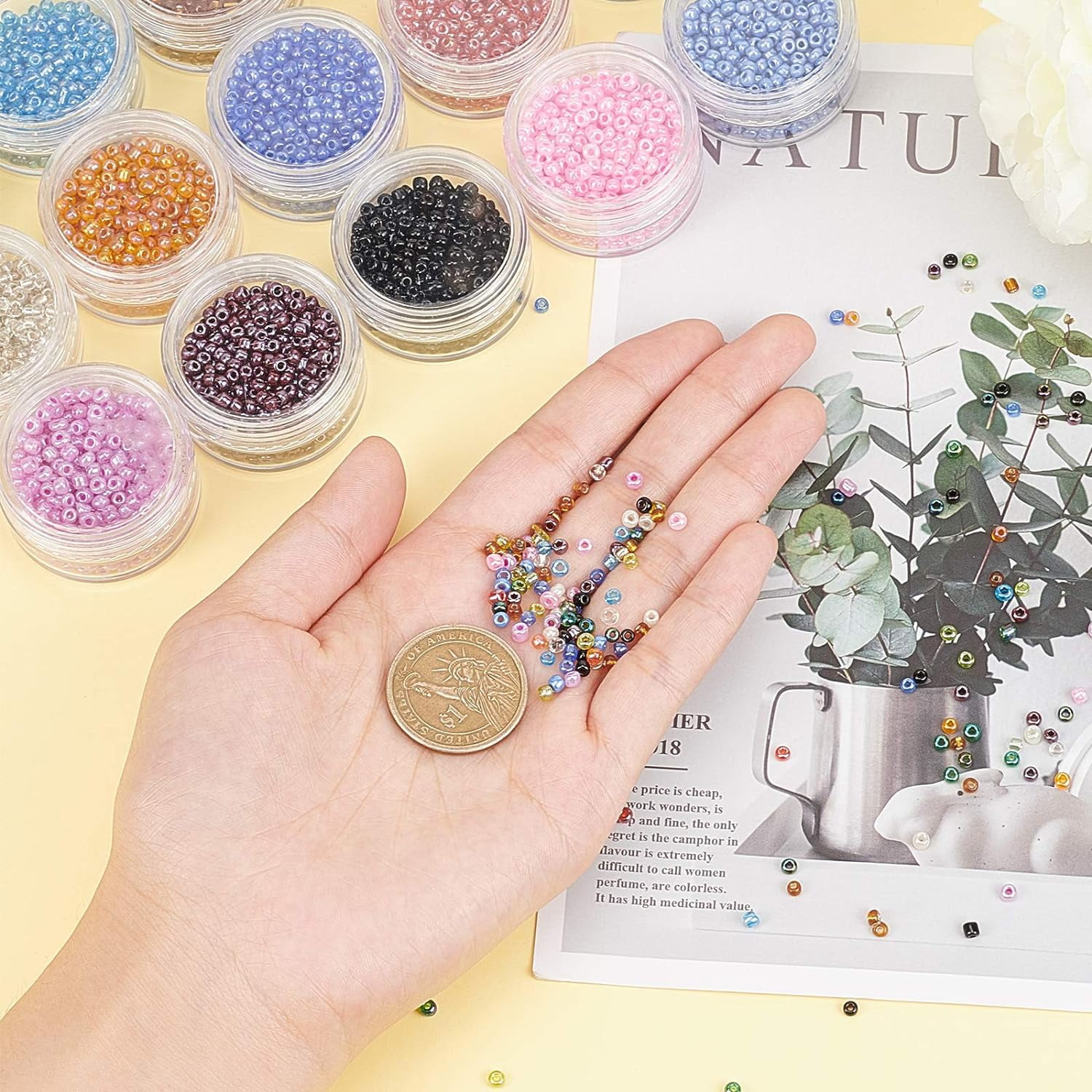9000pcs Glass Seed Beads for Jewelry Making 15 Colors 8/0 Seed Beads Craft Glass Beads Craft Pony Waist Beads for Friendship Bracelets Earrings Necklaces Jewelry Making Supplies Glass