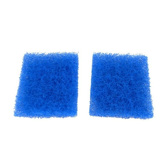 Hayward RCX97417SPAK2 Door Filter Element - Set of 2