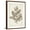 Brown Frame, variant on Art.com Antique Sepia Botanicals V Art Print by 0 Unknown, 12" x 16"
