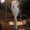 Silver, variant on Sequin Dress Dress for Women Prom Dress Bodycon Under Dresses Long Sleeve High Neck Maxi Silver Adjustable Waist Womens Spring Dresses,M