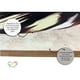 thumbnail image 3 of Set de 3 Cuadros decorativos Modernos Ideas Creativas Plumas Oro, 3 of 7