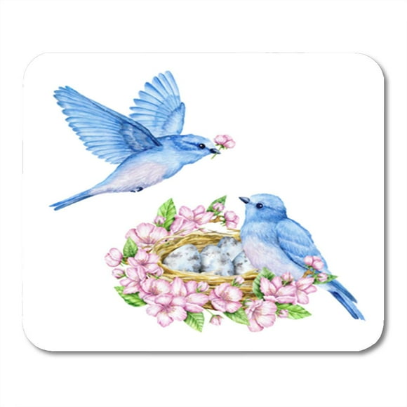 NUDECOR Cute Little Blue Bird Nest and Eggs Watercolor Spring Mousepad Mouse Pad Mouse Mat 9x10 inch