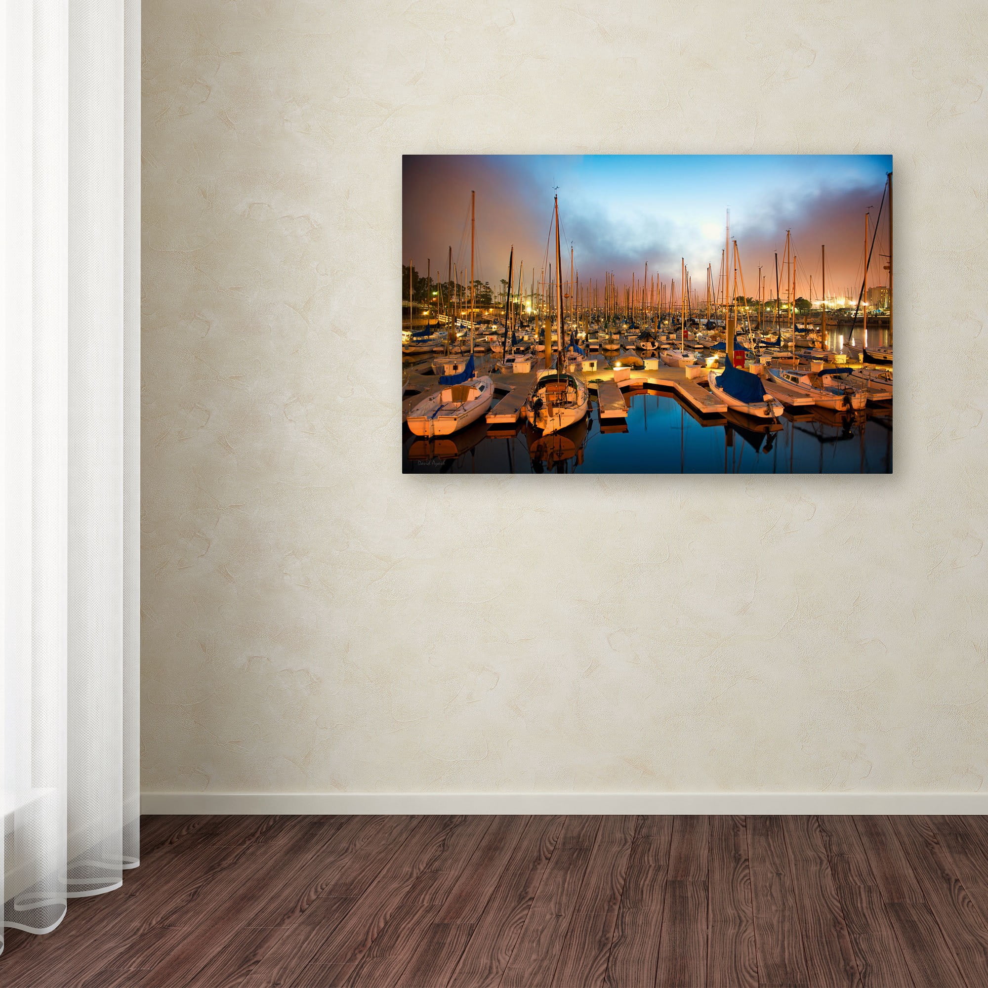 Trademark Fine Art "Marina Del Rey - Southern California" Canvas Art by David Ayash