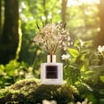 thumbnail image 5 of COCORRÍNA Black Forest Reed Diffuser Set, 6.7 fl oz Home Fragrance with Dried Flower, Long Lasting Room Scent for Bedroom Bathroom Office Spa Gift, 5 of 5
