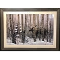 thumbnail image 3 of Stephen Lyman "A Walk in the Woods" FRAMED Art Nature Wildlife Moose Generic, 3 of 5