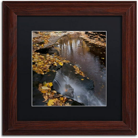 Trademark Fine Art "Lakeview Autumn Waterfall #2" Canvas Art by Kurt Shaffer Black Matte, Wood Frame