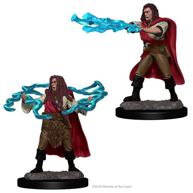 d&d sorcerer miniature