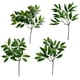 thumbnail image 2 of Jarrón de hojas de eucalipto de plantas simuladas, arreglo floral, accesorios de hojas verdes, ajuste de fiesta festiva, decoración del hogar, 2 of 4