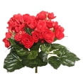 thumbnail image 1 of Red Begonia Floral Bush - 9.5 in., 1 of 1