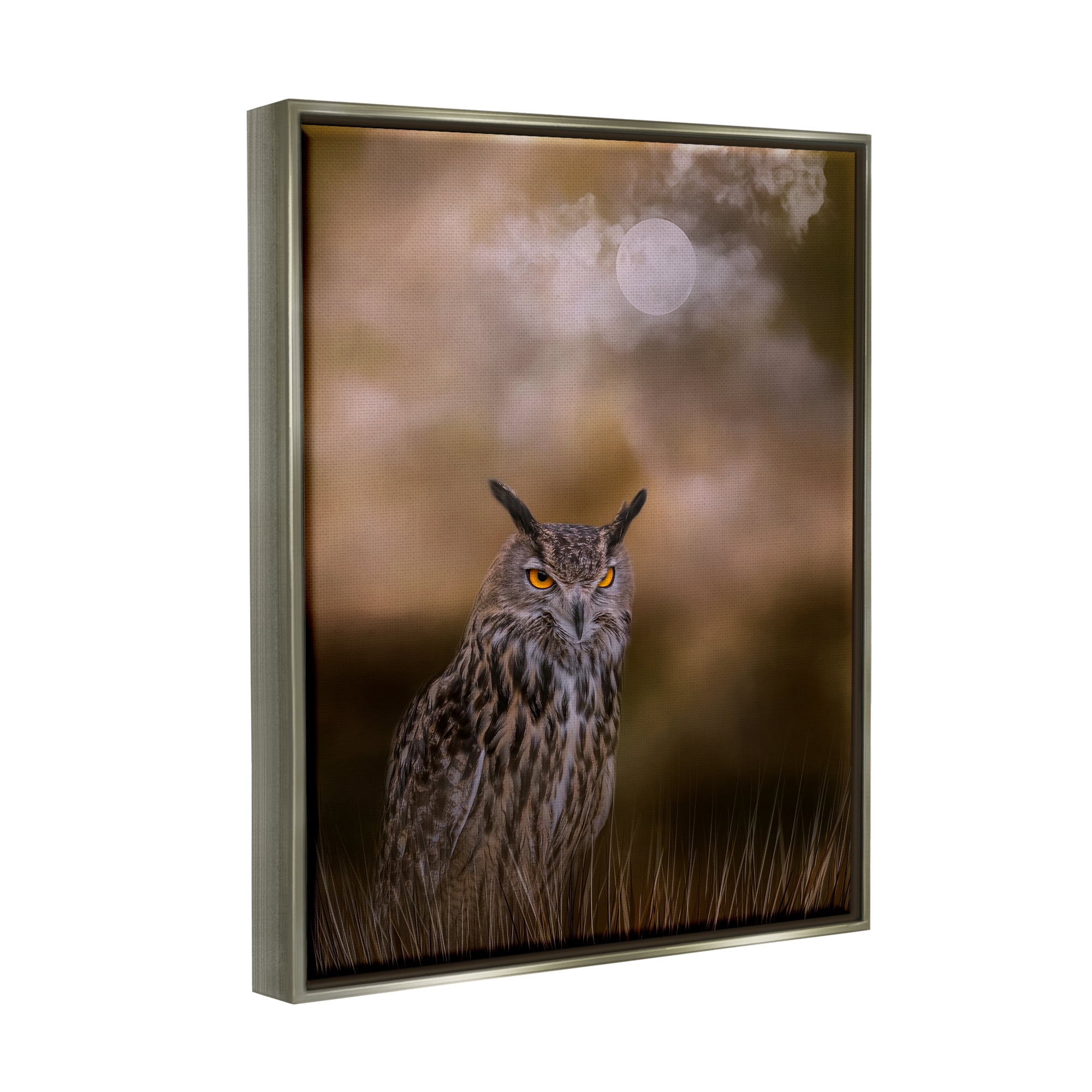 Stupell Nighttime Owl Moonlit Cloudy Sky Animals & Insects Photography Gray Floater Framed Art Print Wall Art