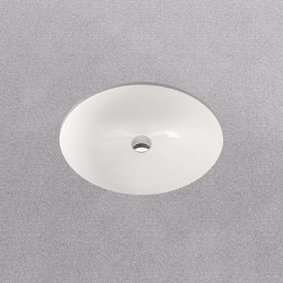 Proflo Pf1714ua Comstock 19-1/2" Oval Vitreous China Undermount Bathroom Sink - White