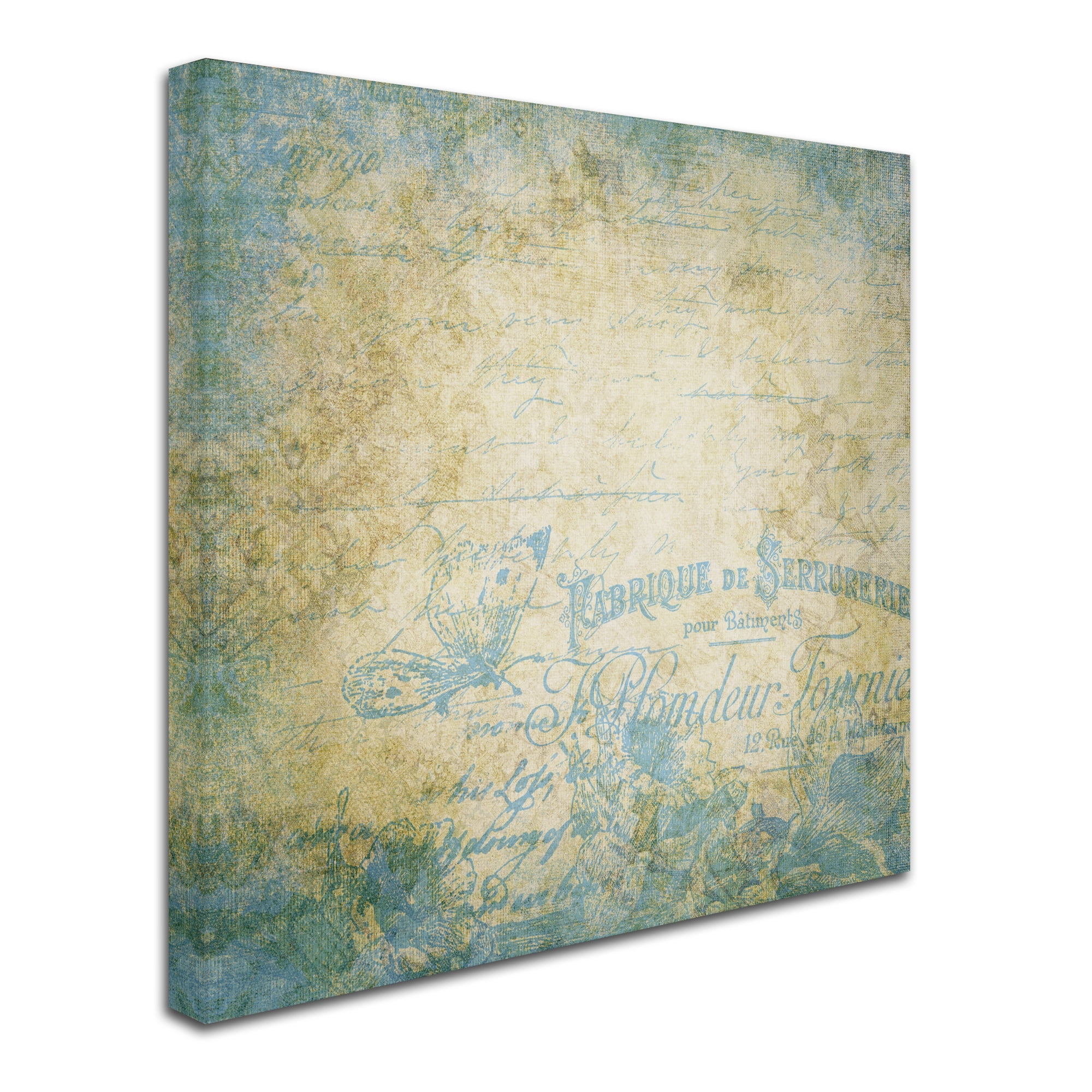 Trademark Fine Art 'French Blues' Canvas Art by Marcee Duggar