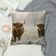 thumbnail image 2 of GOSMITH Throw Pillow Covers Cases  Hairy Scottish Highland Cattles Soft Cozy Decorative Square Pillow Protector Cushion Cover for Home Sofa Couch, 2 of 5