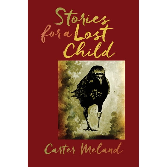 Pre-Owned Stories for a Lost Child (Paperback) 1611862442 9781611862447