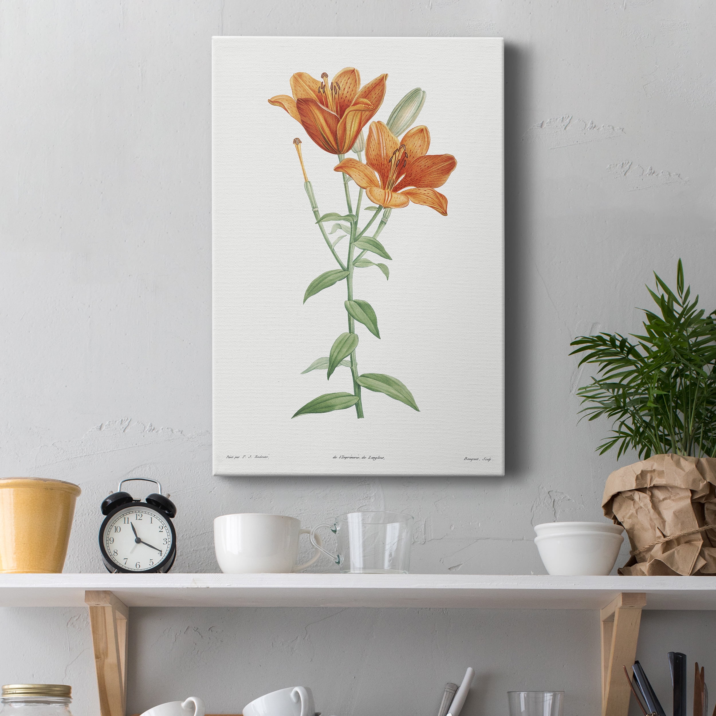 Orange Bulbous Lily Premium Gallery Wrapped Canvas - Ready to Hang - 24 x 36
