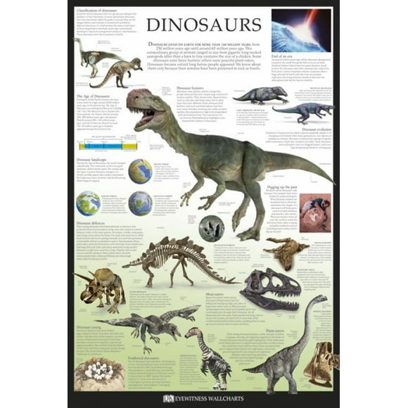 Dinosaures - Tableaux de Bord pour Témoins Oculaires Dorling Kindersley Poster (36 x 24)