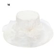 thumbnail image 1 of Flor Red Hilo Sombrero para el sol Playa Protector solar Sombrero para el sol Mujer Organza Sombrero de copa Wmkox8yii jkg5764, 1 of 2