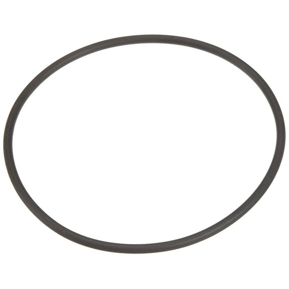 Pentair 35505-1438 Seal Plate O-Ring Replacement for Select Sta-Rite Pool and Spa Aboveground Pump