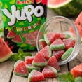 thumbnail image 4 of Ceres Gourmet Watermelon Gummy Candy Bag Soft & Chewy 1-Count 2.2 lb, 4 of 9