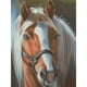 thumbnail image 5 of Kit Bordado Punto Cruz 3 Hebras Caballo Marrón Contado 11CT Bricolaje Blanco, 5 of 9