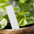 thumbnail image 4 of 500 Pcs Reusable Pvc Plant Tag Label Tree Fruit Seedling Garden Flowerpot Plastic Label Sorting Too, 4 of 5