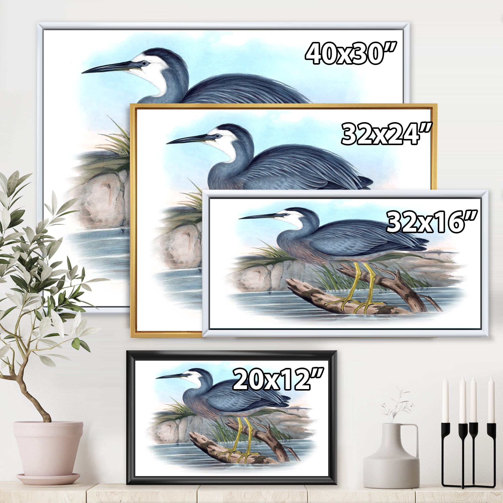Designart 'Ancient Australian Birds II' Traditional Framed Canvas Wall Art Print