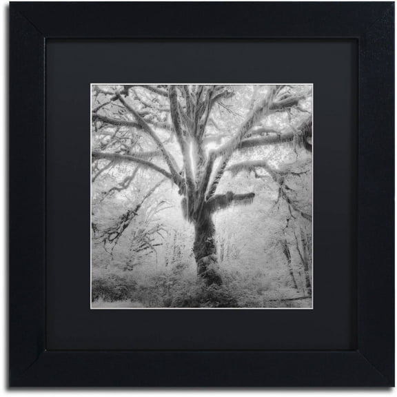 Moises Levy 'Lightning Tree II' Black Matted Framed Art