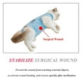 thumbnail image 4 of Coloody Regular Surgery Recovery Suit for Unisex Cat Abdominal Wounds or Skin Diseases, 4 of 6