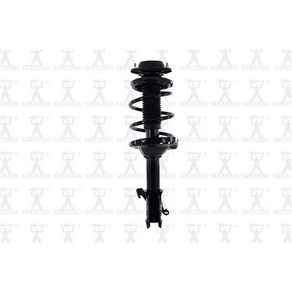 Suspension Strut and Coil Spring Assembly