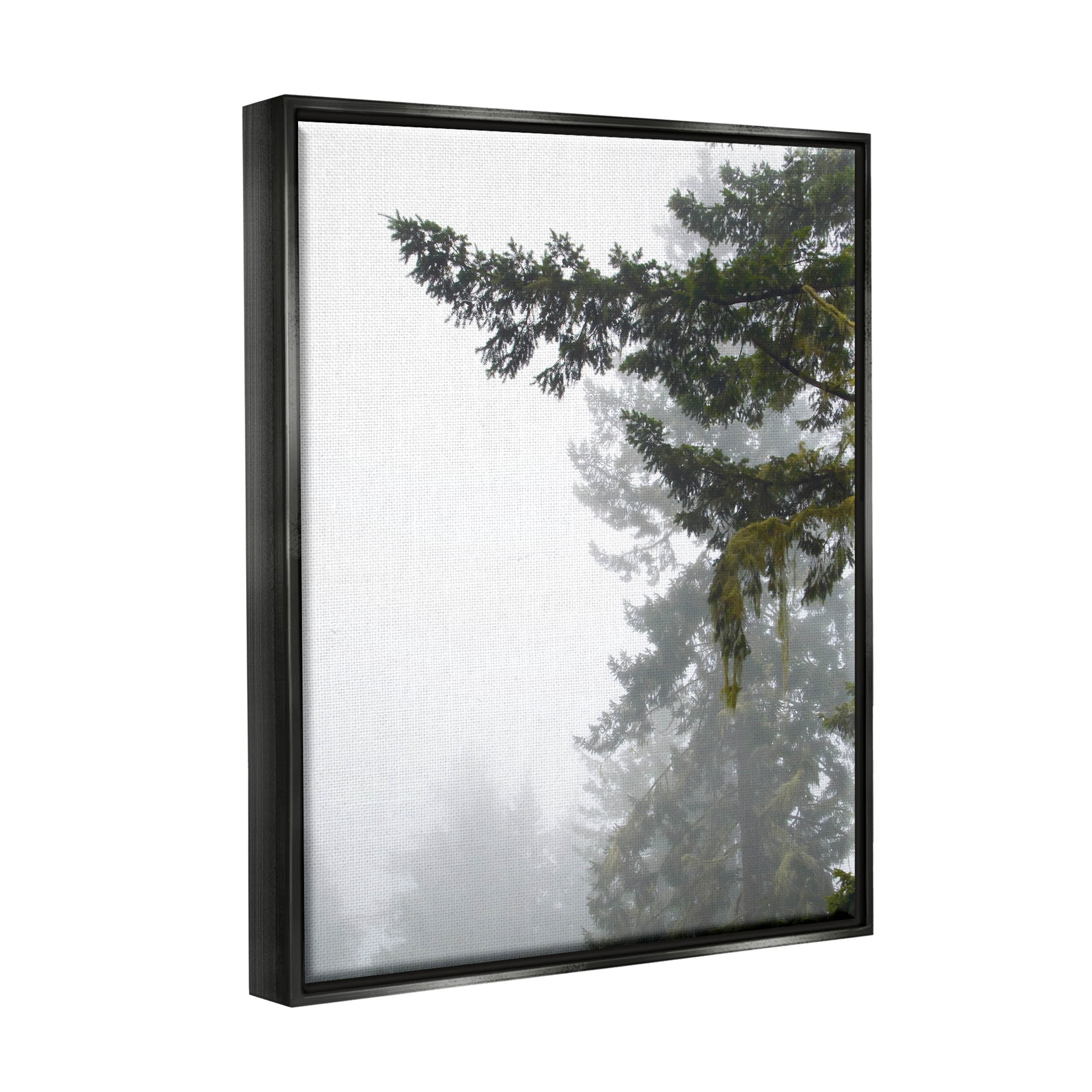 Stupell Industries Majestic Pine Tree Overhang Photograph Jet Black Floating Framed Canvas Print Wall Art, Design by Debra Van Swearingen