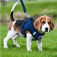 thumbnail image 4 of Luxtrada Adjustable Reflective Harness Leash Puppy Vest Breathable Corduroy Straps Mesh Walking Harness for Small Medium Dogs and Cat (Blue,S), 4 of 10