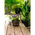 thumbnail image 2 of Towl Flowerpot Bucket Pot Barrel Planter Urns Home Decoration Garden Wooden Tub 13.5*10.5*8cm, 2 of 20