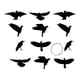 thumbnail image 1 of 18 Cuervos Decorativos Colgantes de Halloween, Esculturas de PVC Resistentes a la Intemperie Paquete de 12, 1 of 9