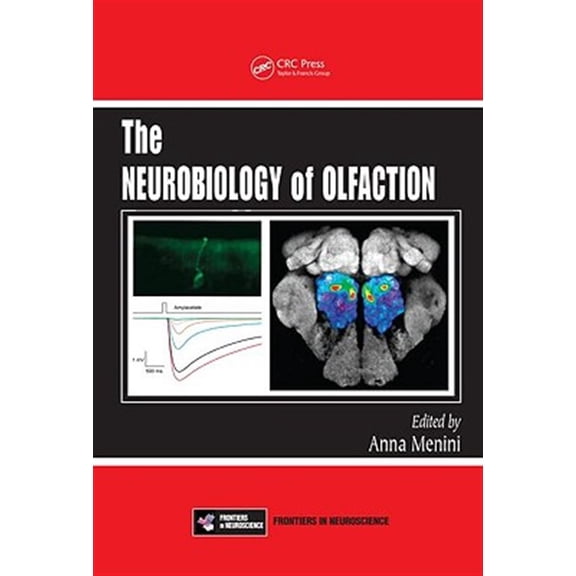 Pre-Owned Frontiers in Neuroscience The Neurobiology of Olfaction, (Hardcover)