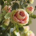 thumbnail image 4 of Artificial Flower Silk Rose Flower Bloom and Bud Stem in Pink 39" Tall, 4 of 5