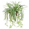thumbnail image 1 of Simulación de flor simulada, simulación de enredadera de orquídea colgante, simulación de material de pared, decoración de pared de ratán simulado verde, 1 of 7
