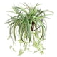 thumbnail image 1 of Flor artificial, orquídea colgante artificial, enredadera artificial, material para pared, decoración de pared, mimbre artificial, verde, 1 of 6