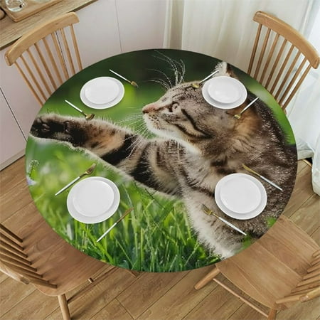 

Patifu Cute Cat Round Table Cover Stain Resistant & Washable Indoor Outdoor Tablecloth for Kitchen Dining Wedding Parties - Mother s Day Gift Picnic Camping Home Decoration 54 -58
